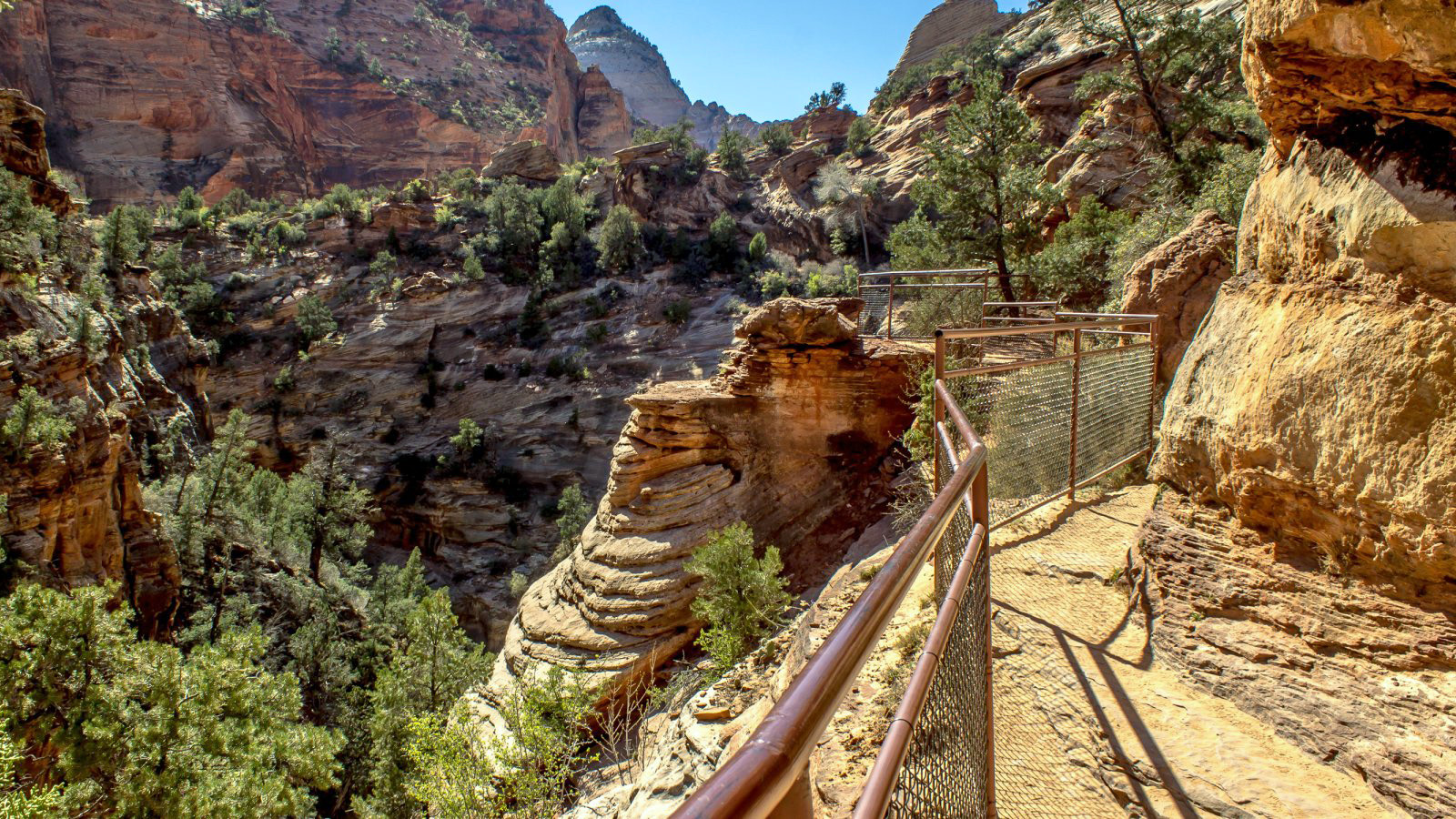 Canyon Overlook